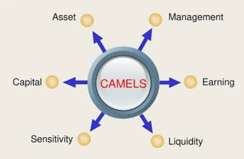 Kekurangan Analisa CAMELS