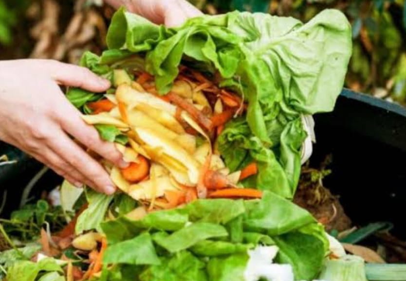 Memahami Dampak Food Waste dan Pentingnya Pengelolaan yang Efektif